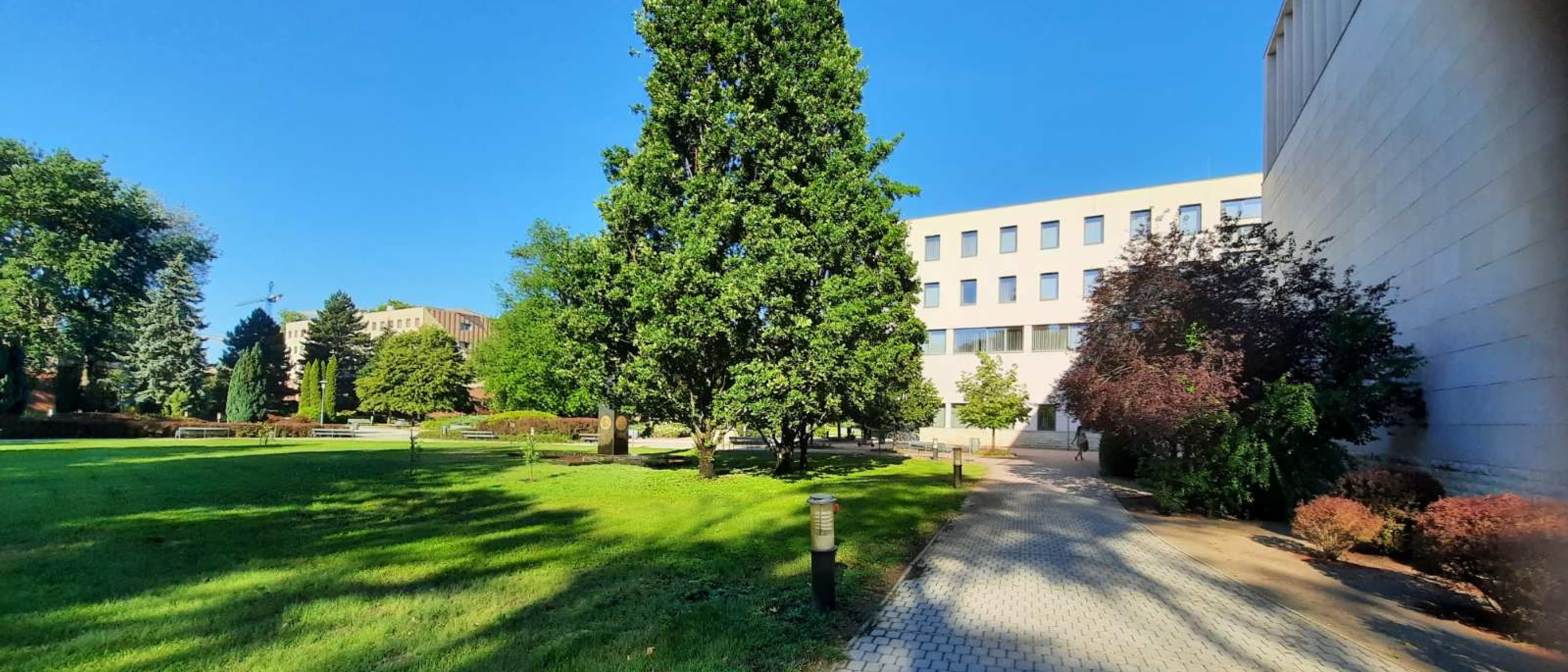 Campus of University of Nyiregyhaza