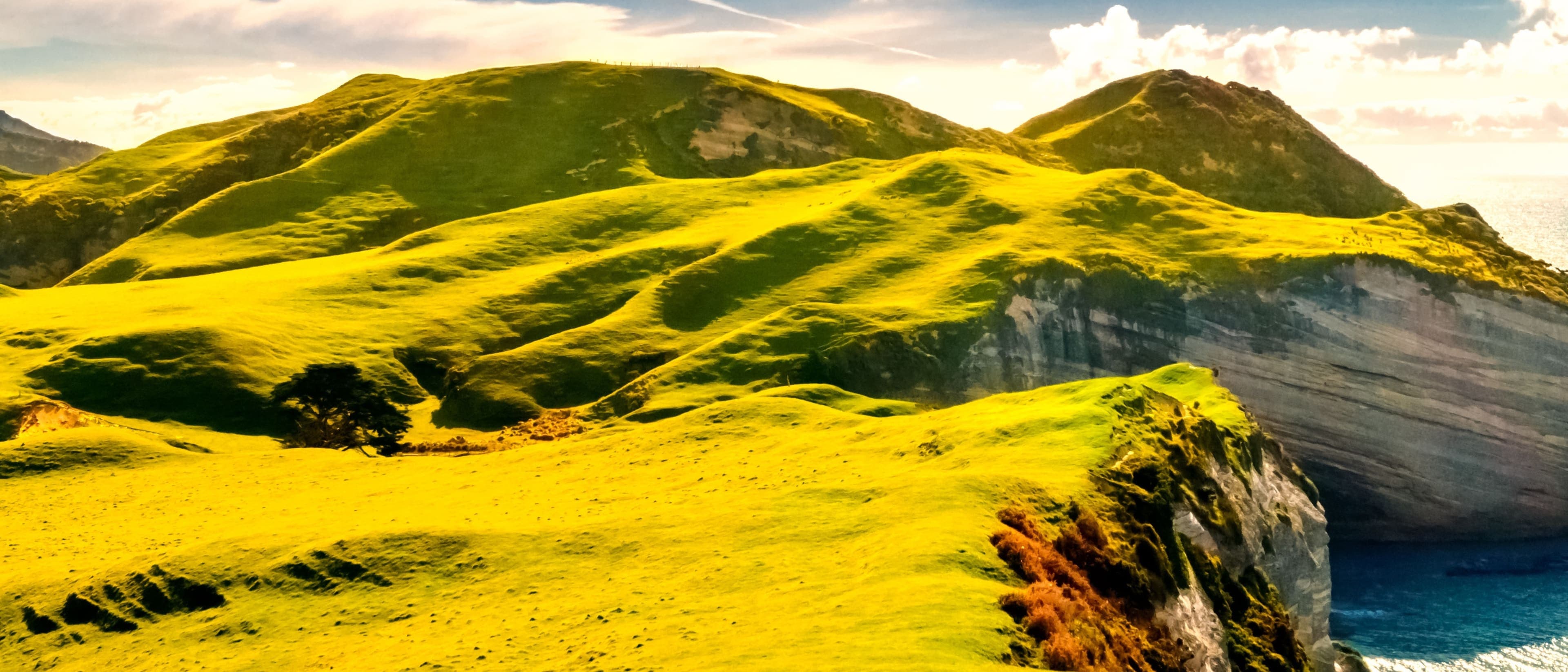 Image for Accounting with Finance – BA (Hons)